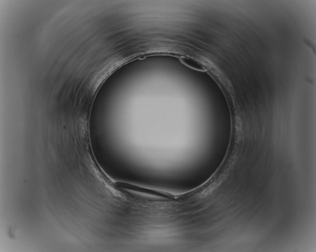 X0000103460993200809121559
