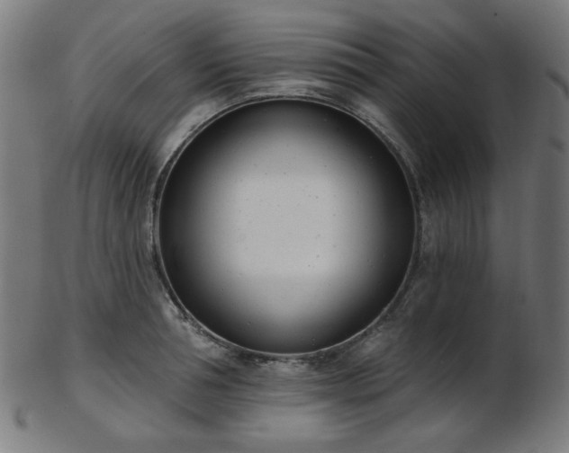X0000103460994200809121559