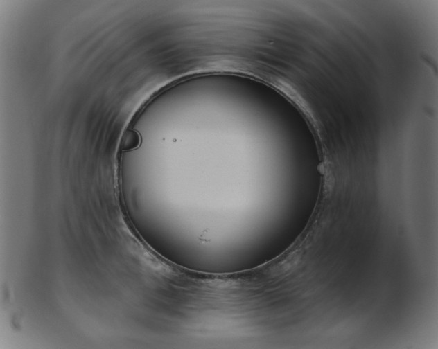 X0000103460996200809121559