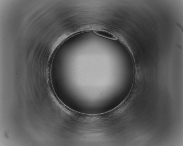 X0000103460997200809121559