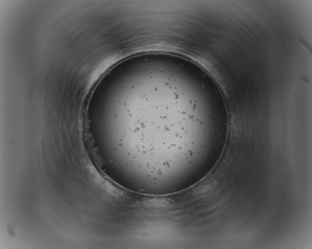X0000103460998200809121559