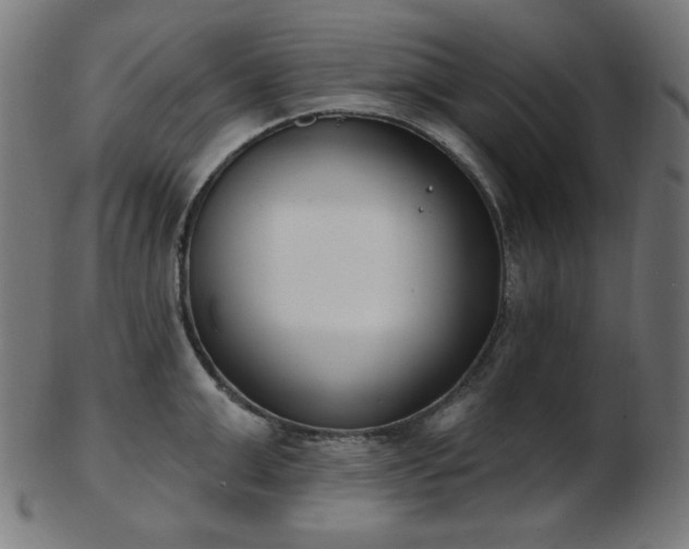 X0000103460999200809121559