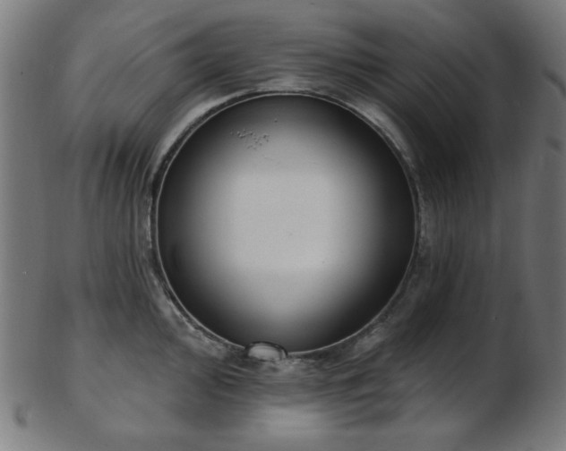 X0000103461000200809121559