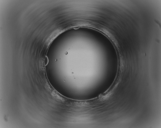 X0000103461001200809121559