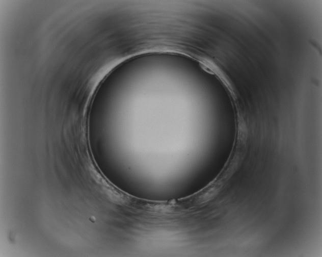 X0000103461004200809121559