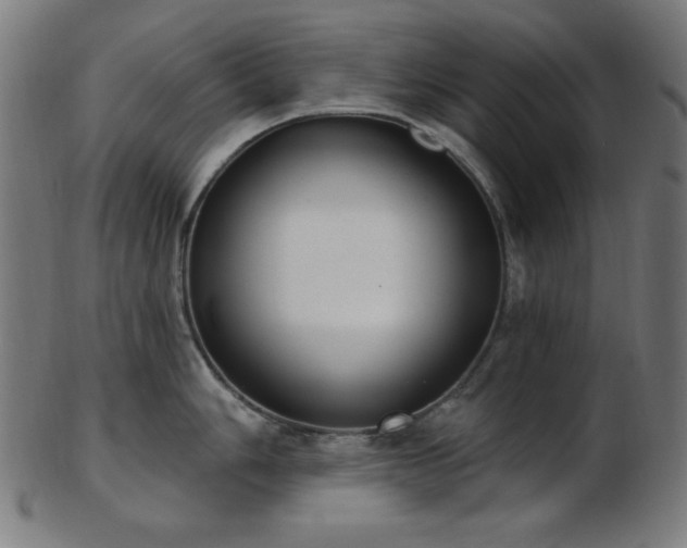 X0000103461006200809121559