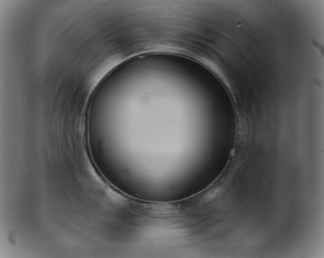 X0000103461007200809121559