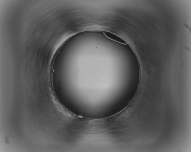 X0000103461008200809121559