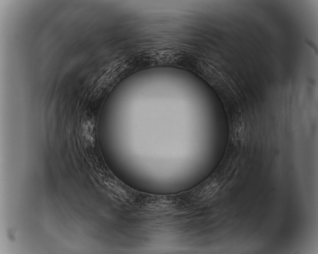X0000103461010200809121558