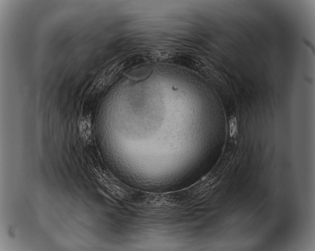 X0000103461011200809121558