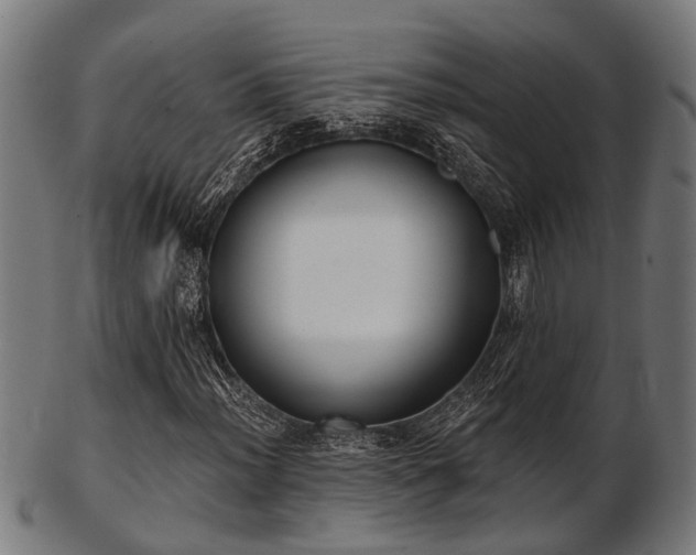 X0000103461012200809121558