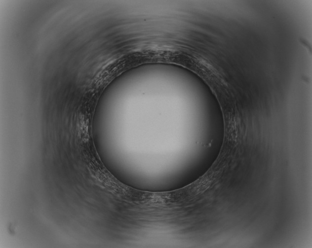X0000103461013200809121558