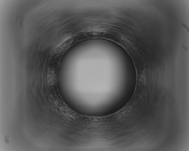 X0000103461014200809121558