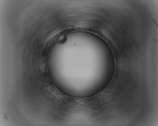 X0000103461015200809121558