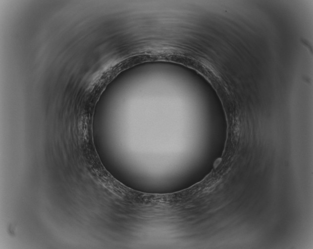 X0000103461016200809121558