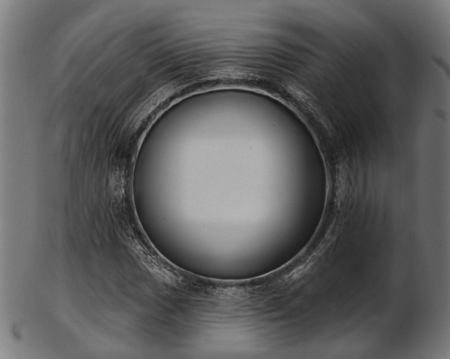 X0000103461017200809121558