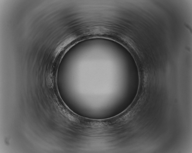 X0000103461018200809121558