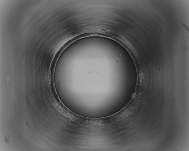X0000103461020200809121558
