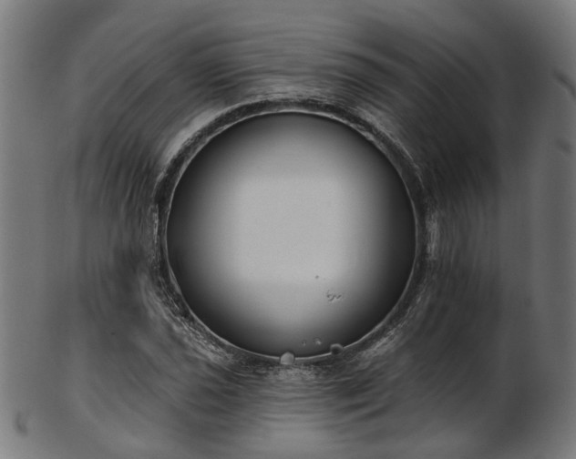 X0000103461021200809121558