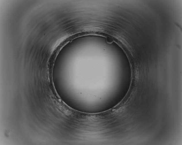 X0000103461022200809121558