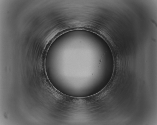 X0000103461023200809121558
