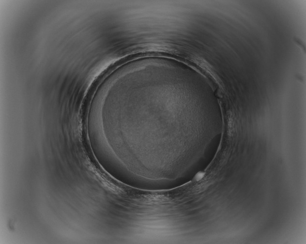 X0000103461024200809121558