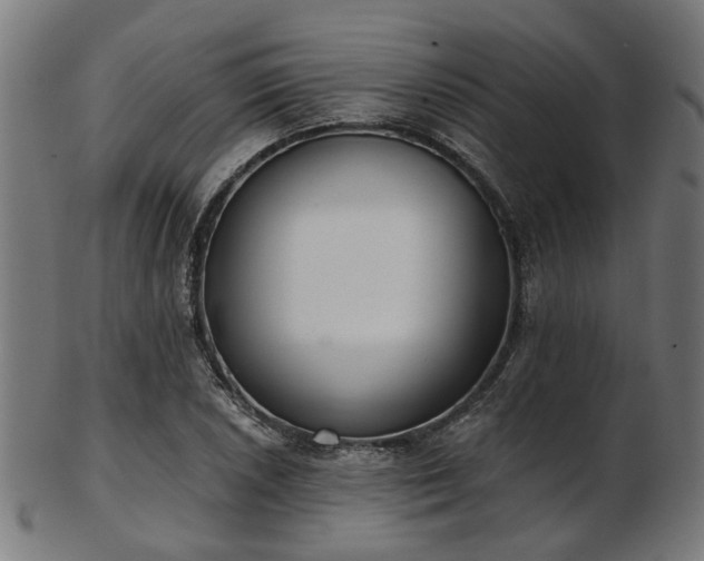 X0000103461026200809121558