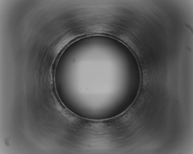 X0000103461031200809121558