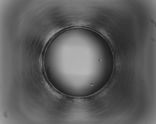 X0000103461032200809121558