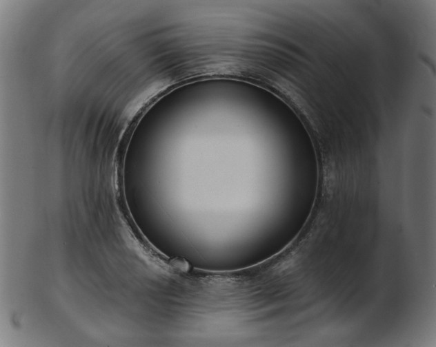 X0000103461034200809121558