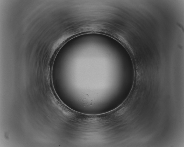 X0000103461035200809121558