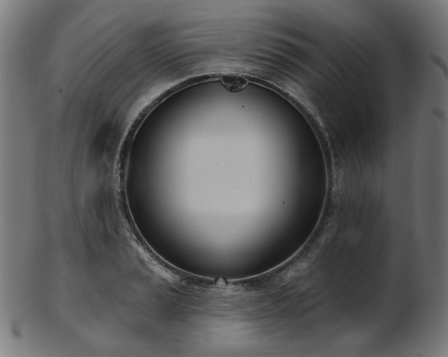X0000103461037200809121558