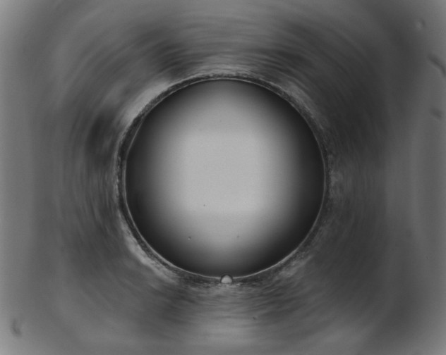 X0000103461038200809121558