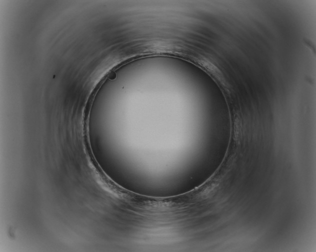X0000103461039200809121558