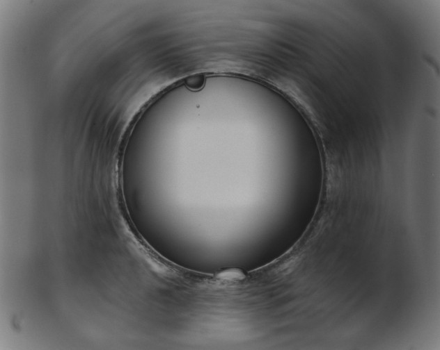 X0000103461040200809121559