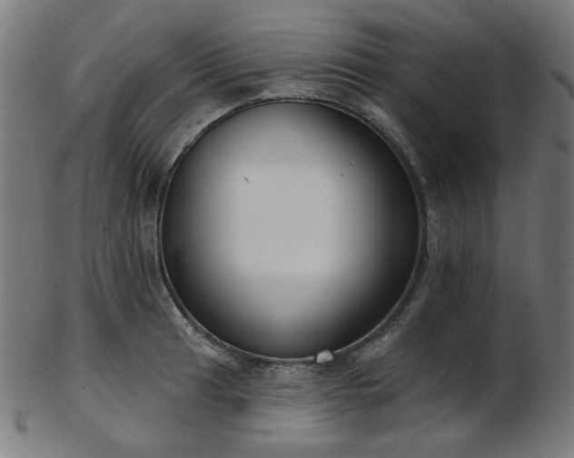 X0000103461041200809121559