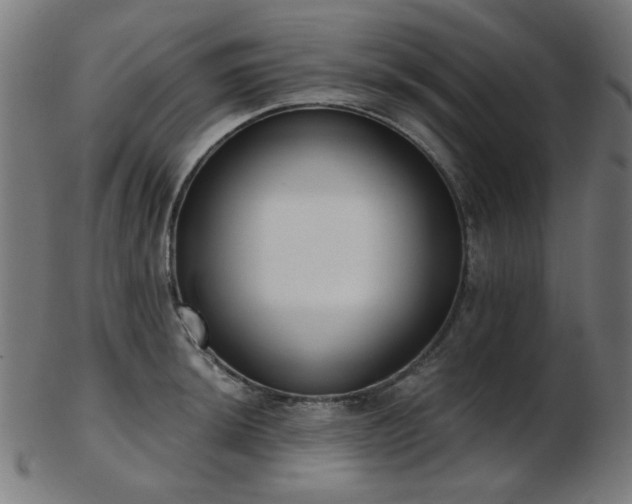 X0000103461044200809121559