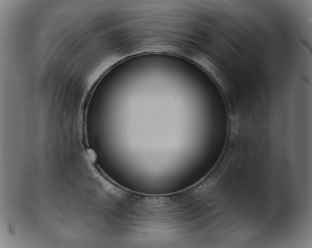 X0000103461046200809121559