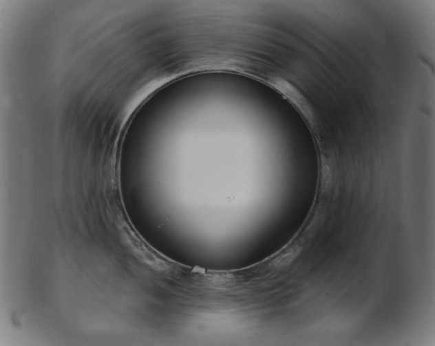 X0000103461052200809121559