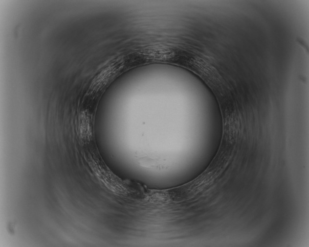 X0000103461058200809121558