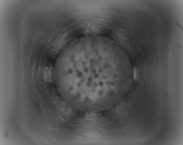 X0000103461059200809121558