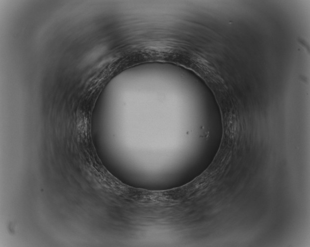 X0000103461061200809121558