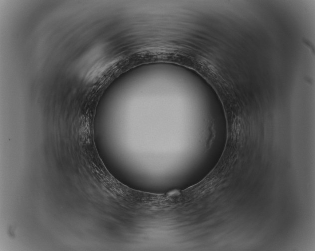 X0000103461062200809121558