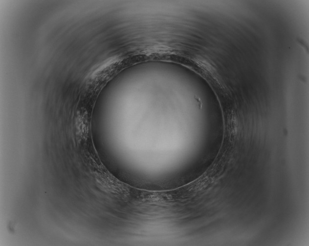 X0000103461063200809121558