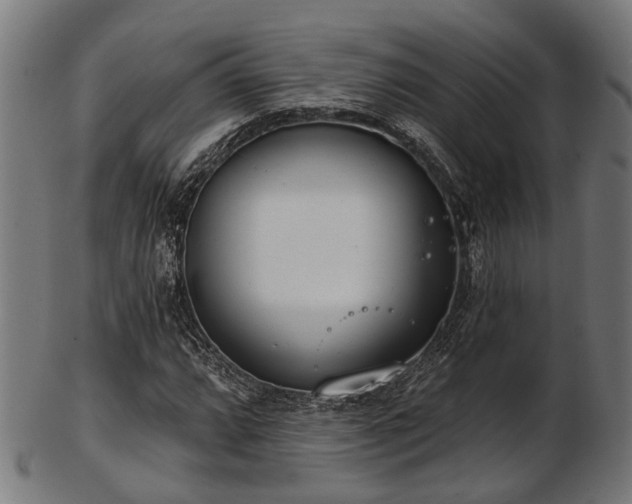 X0000103461064200809121558