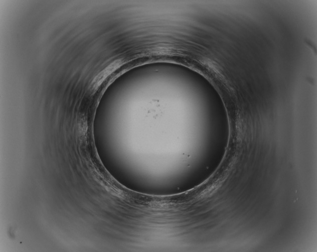 X0000103461065200809121558