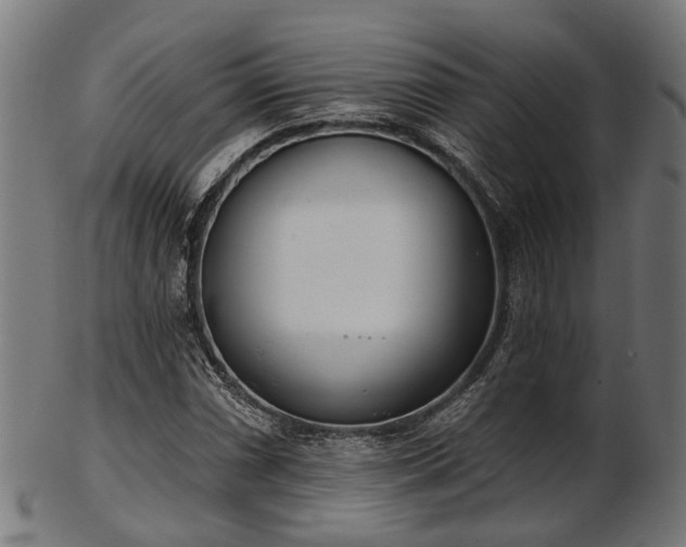 X0000103461066200809121558
