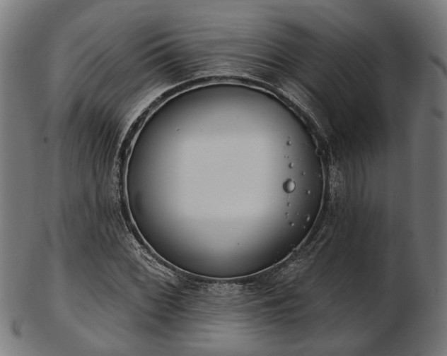 X0000103461068200809121558