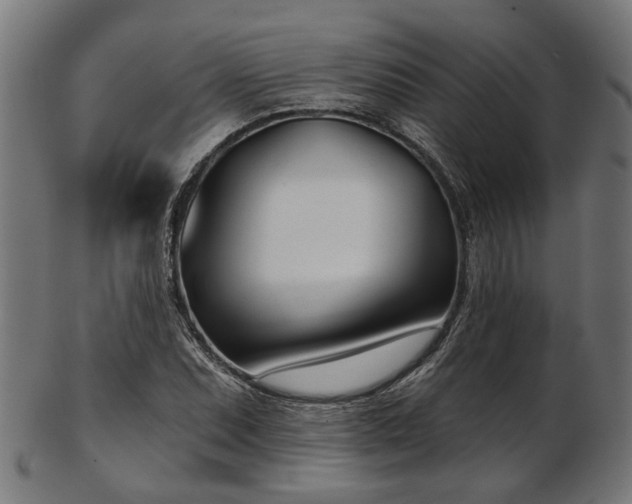 X0000103461071200809121558