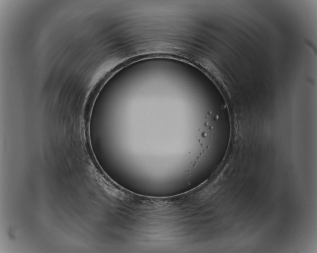X0000103461072200809121558